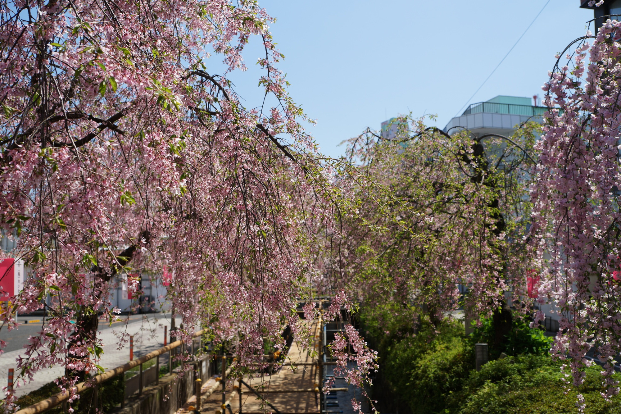 2021年4月7日（水）