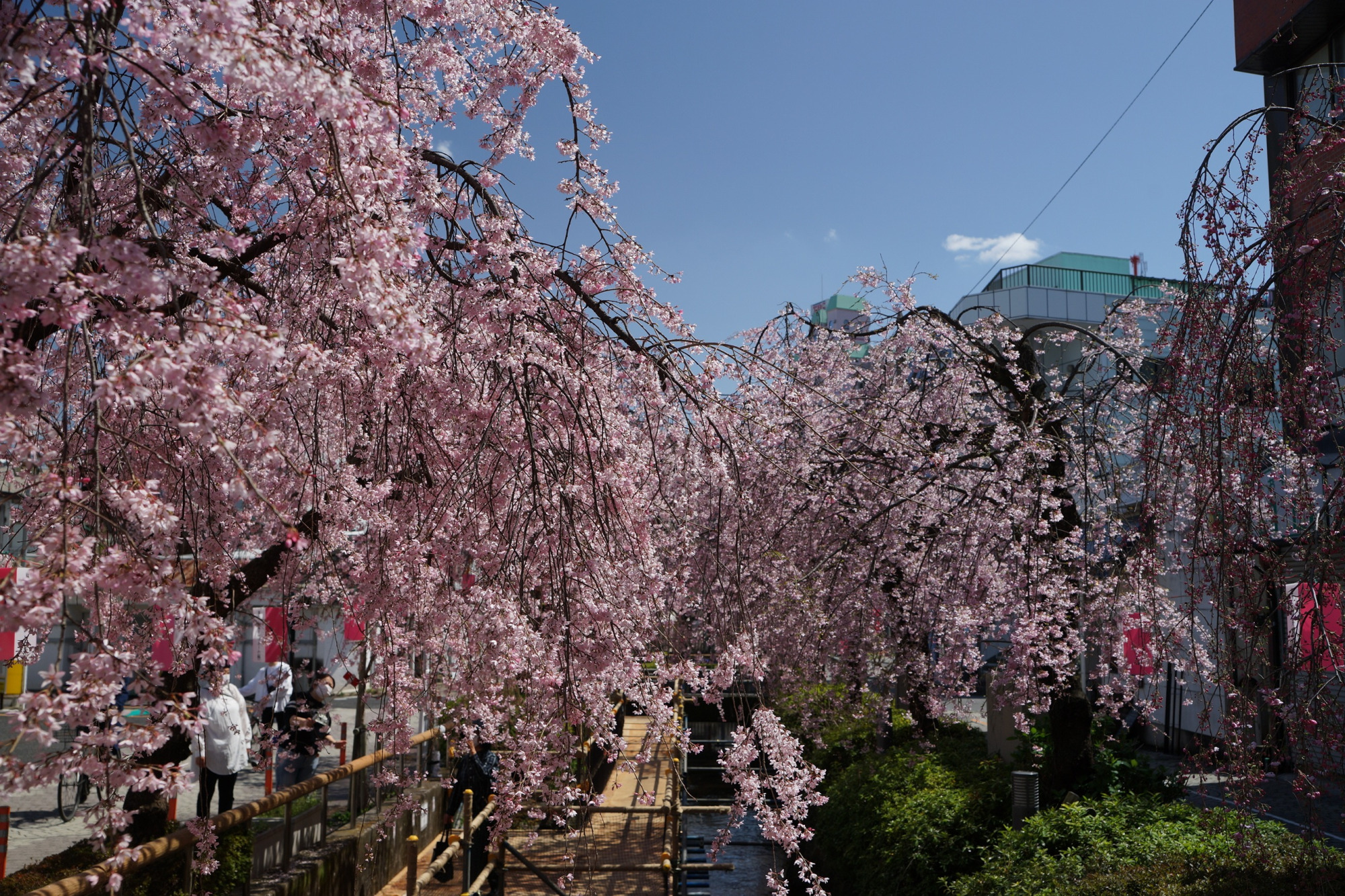 2021年3月29日（月）