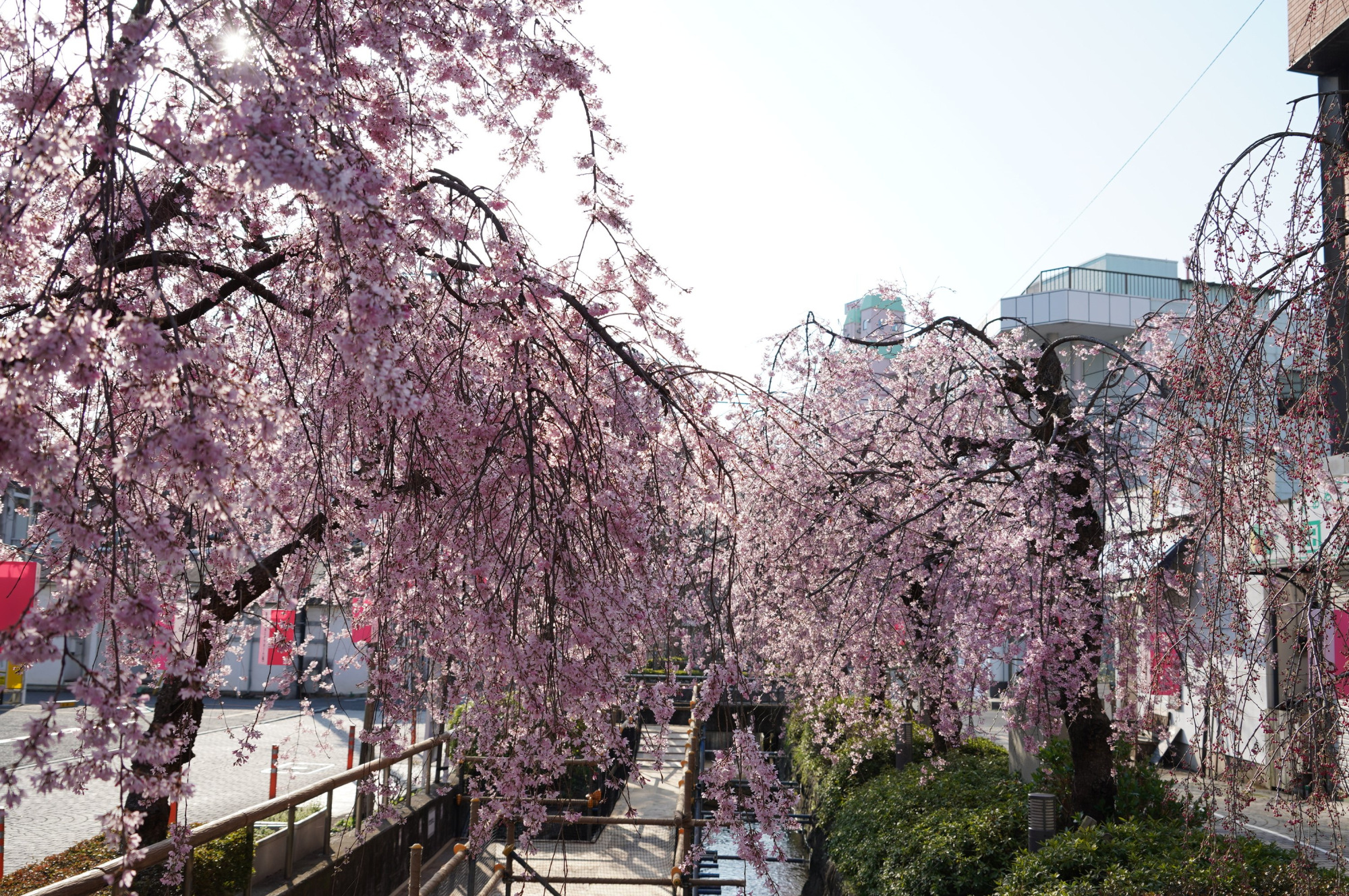 2021年3月27日（土）