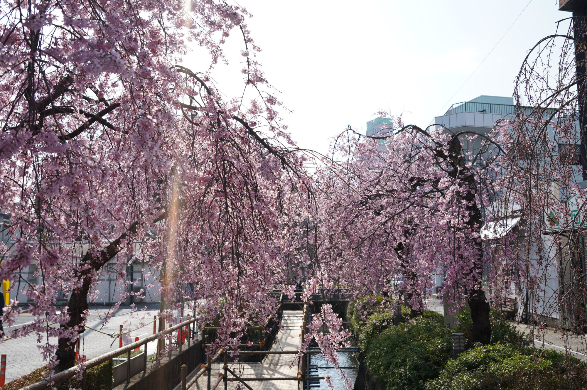 2021年3月25日（木）