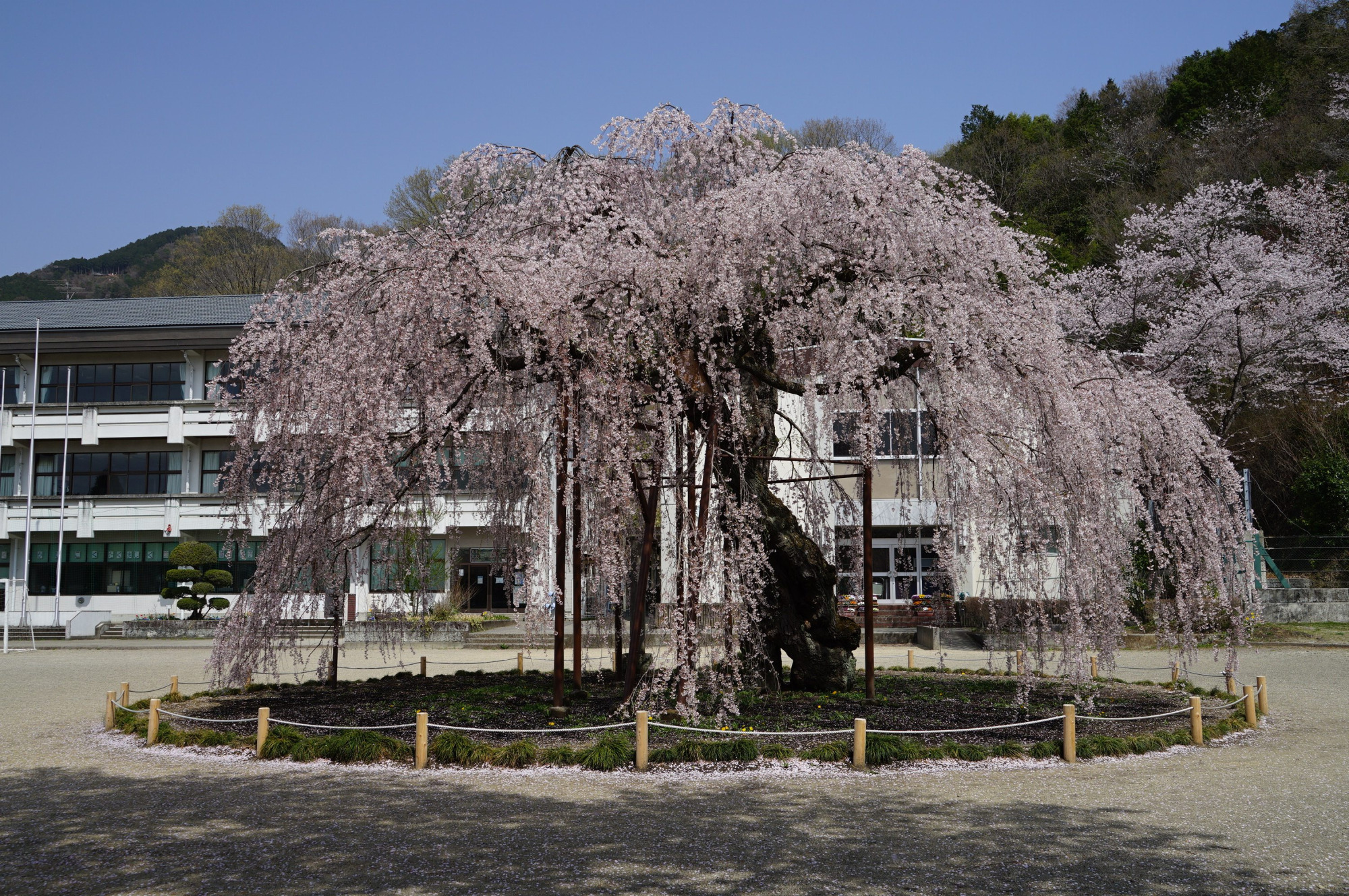2021年4月1日（木）