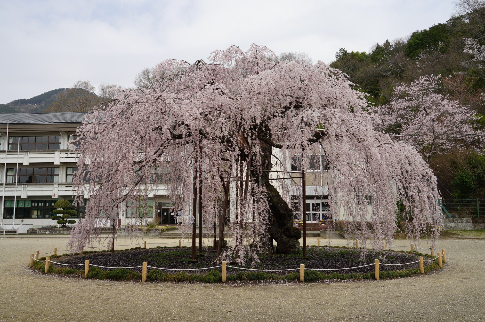 2021年3月30日（火）