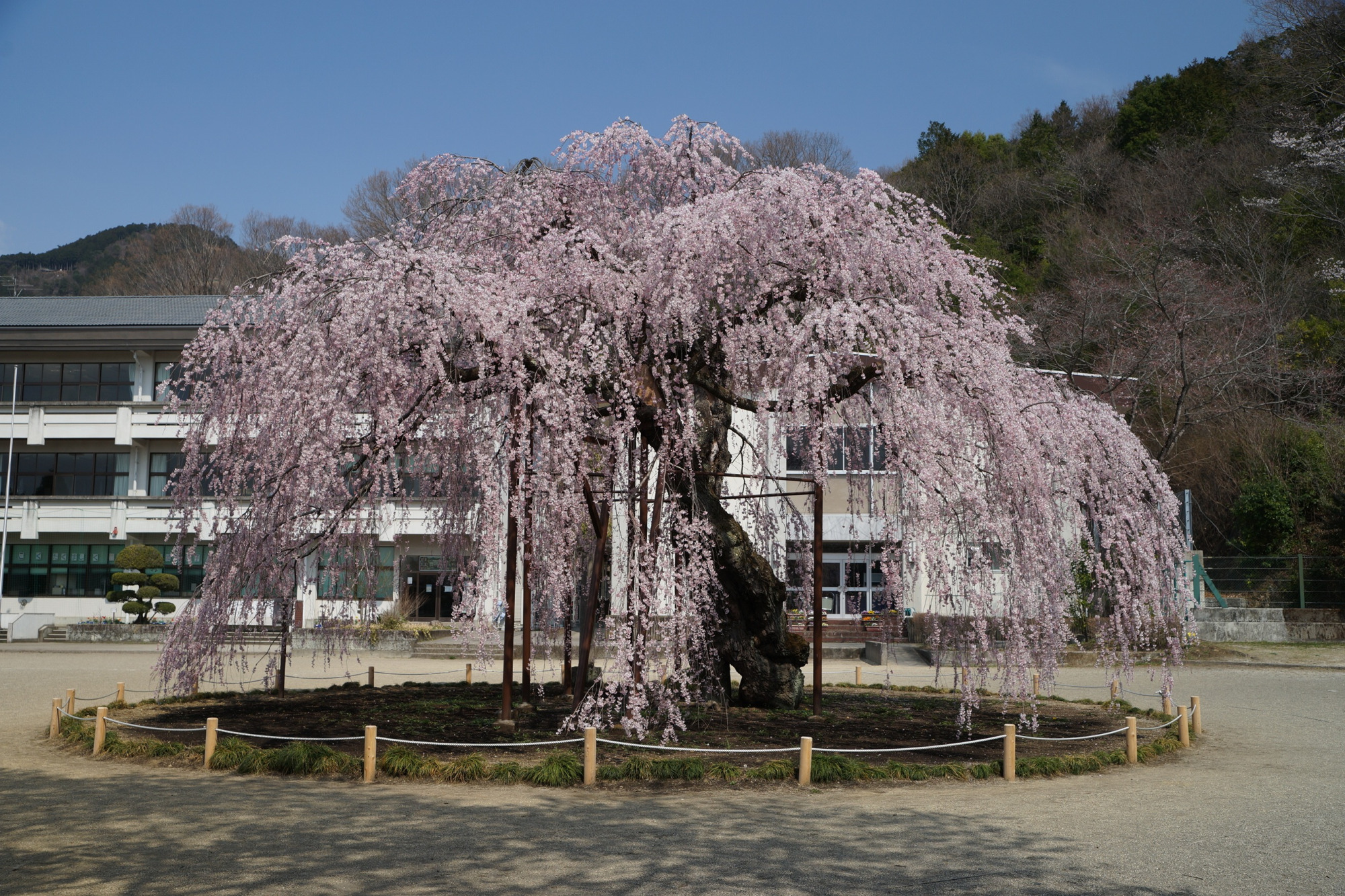 2021年3月26日（金）