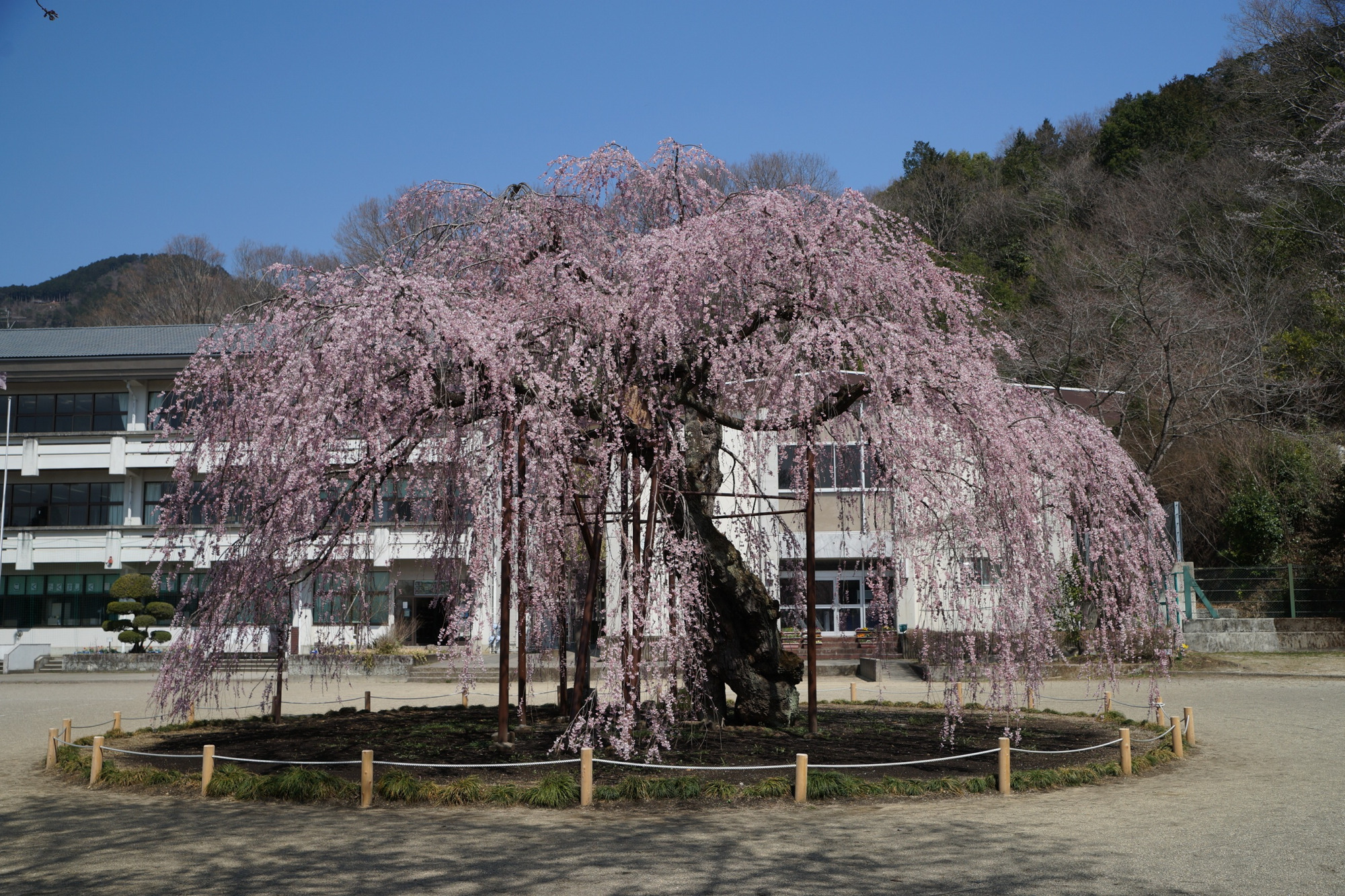 2021年3月24日（水）