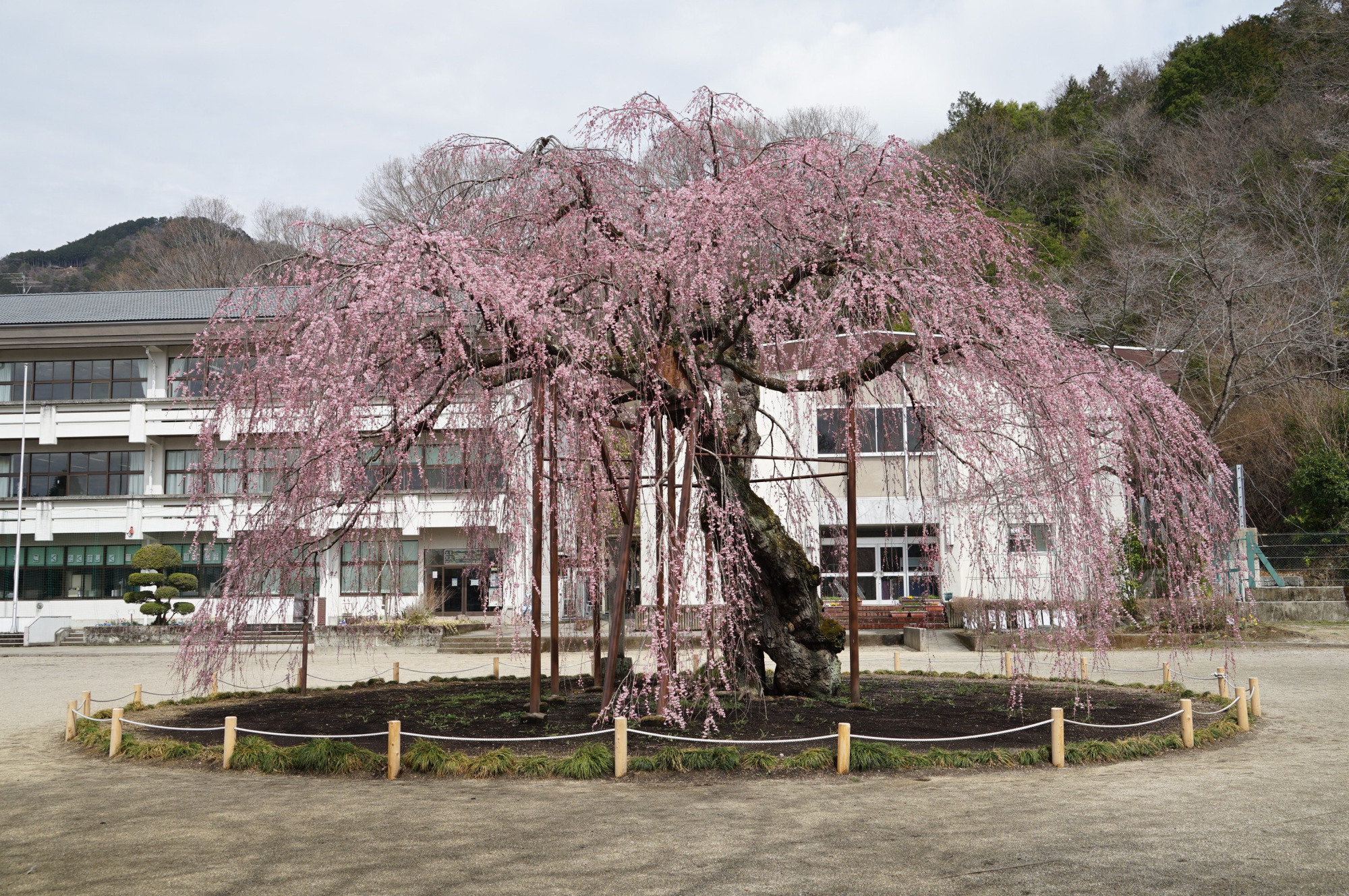 2021年3月22日（月）