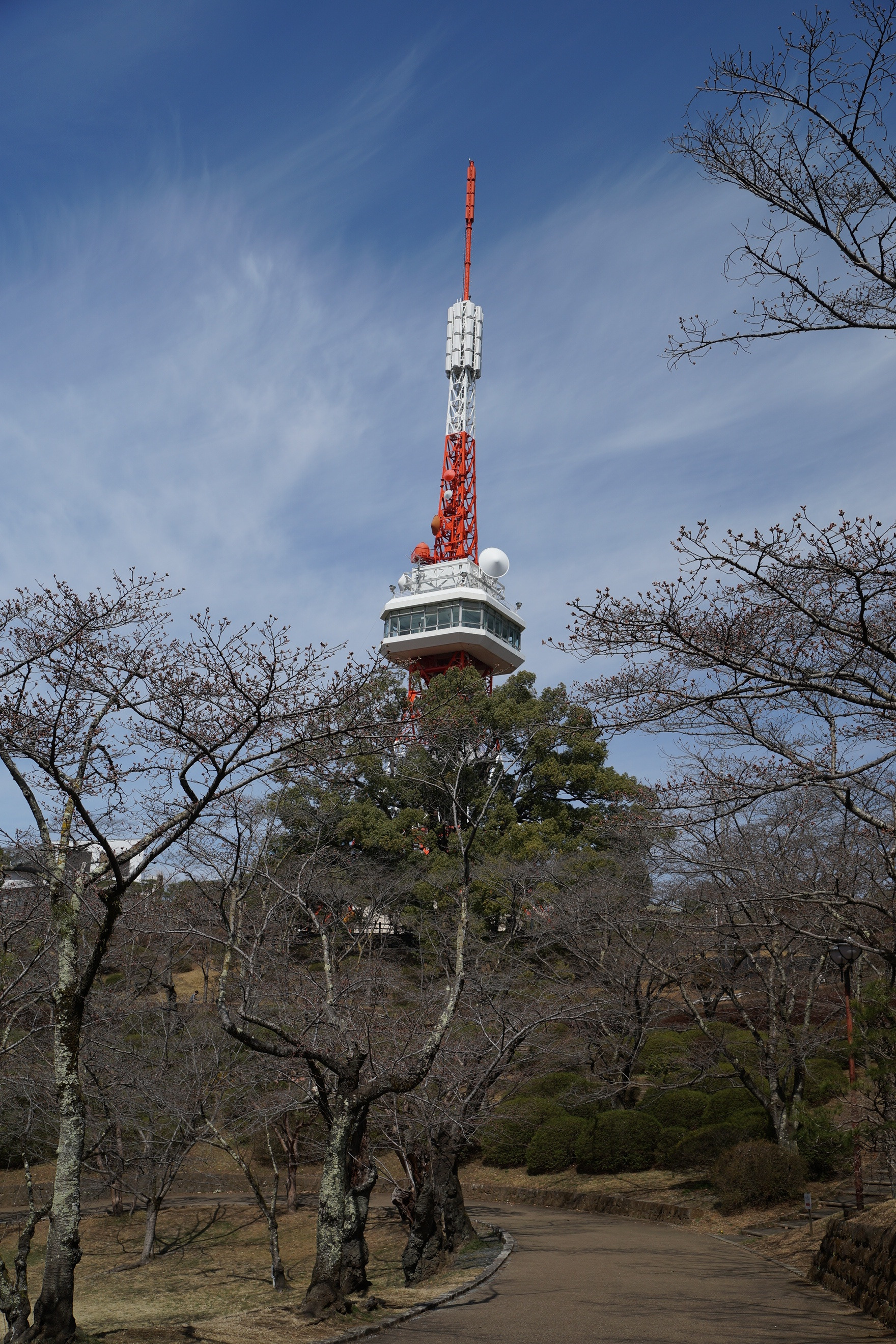 2021年3月18日（木）