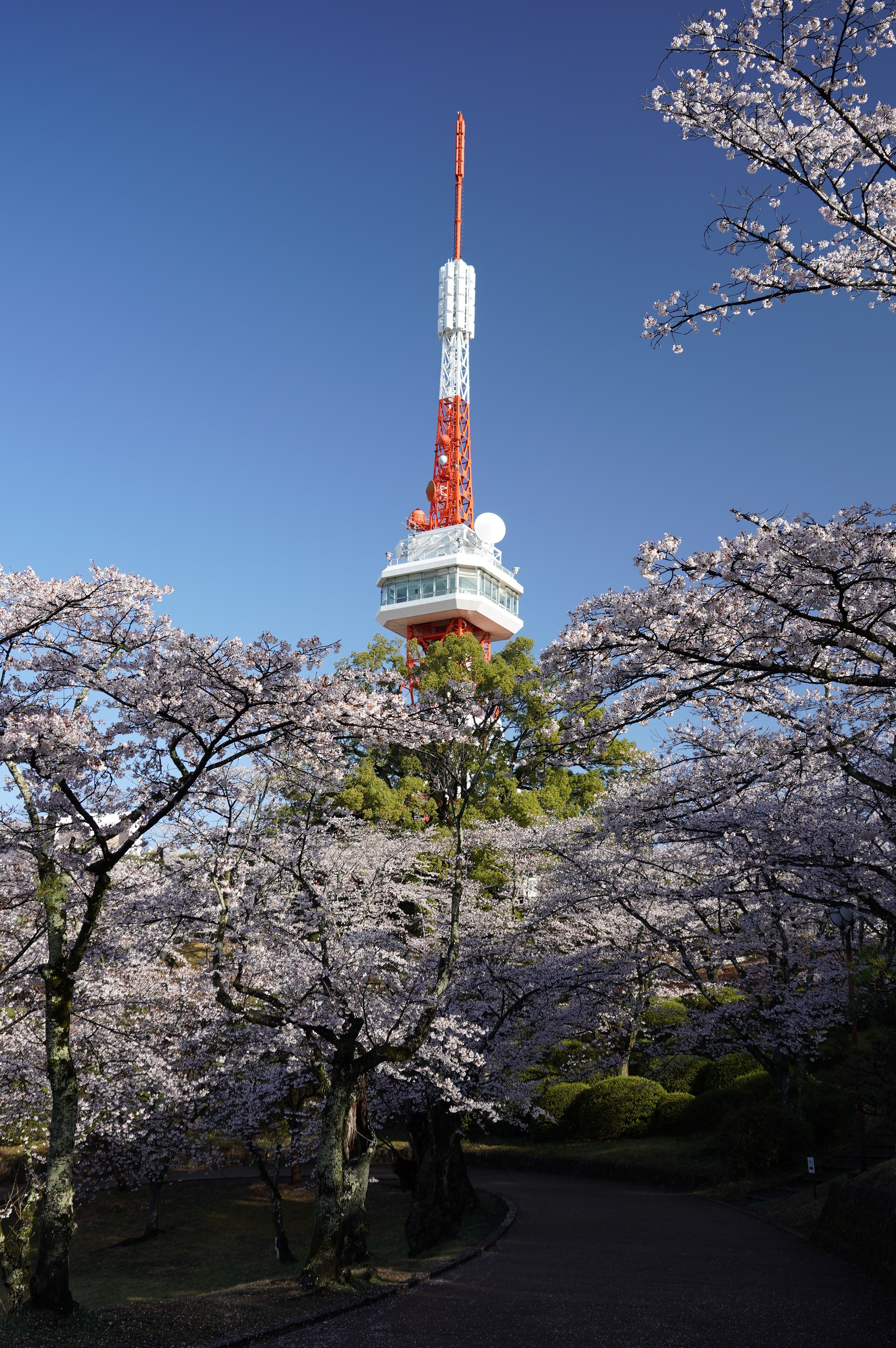 2021年3月29日（月）