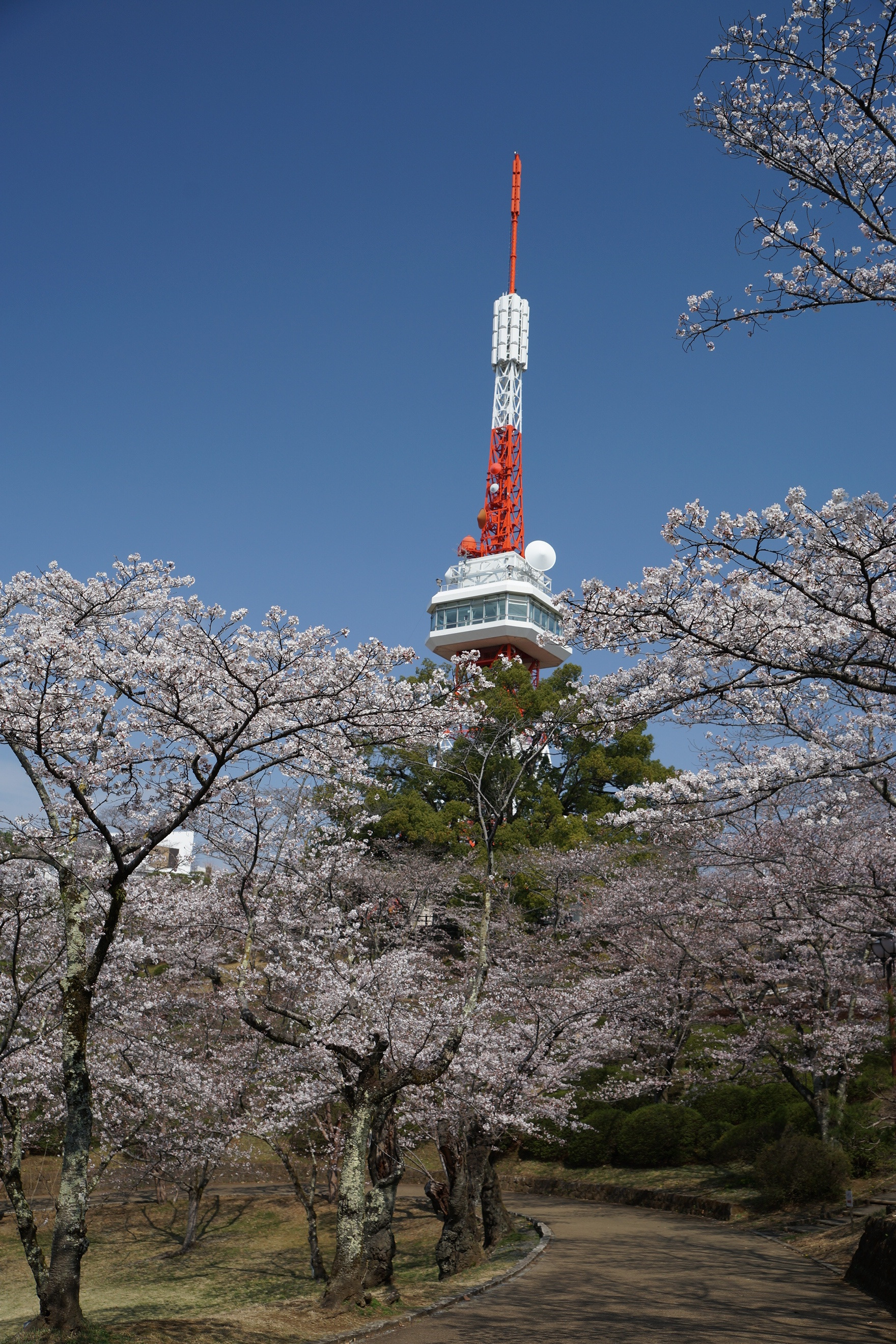 2021年3月26日（金）