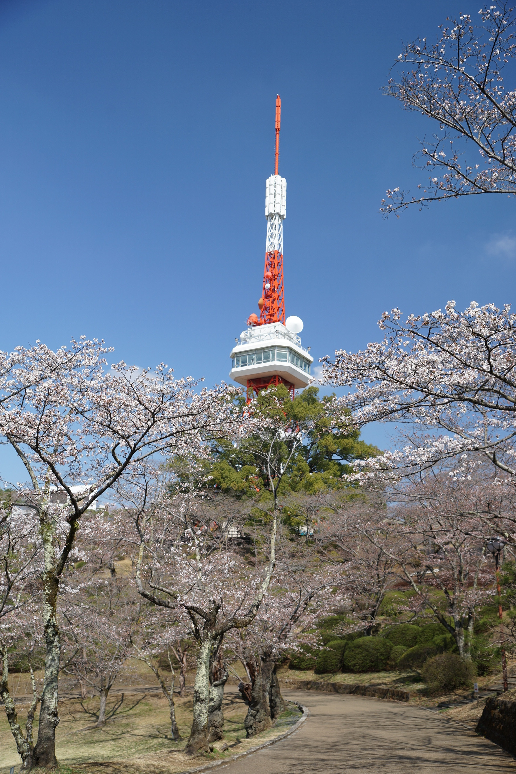 2021年3月24日（水）