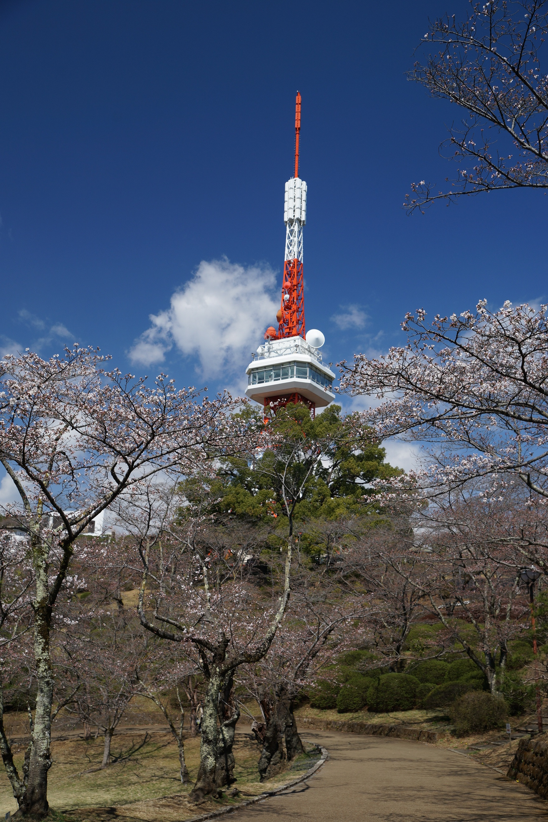 2021年3月23日（火）