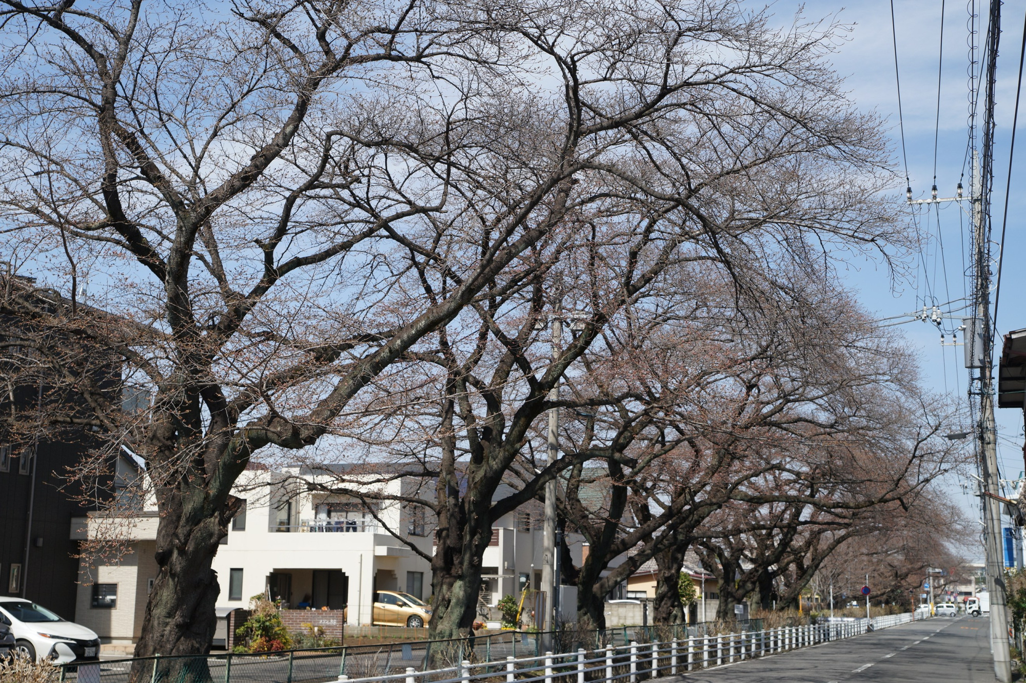 2021年3月18日（木）