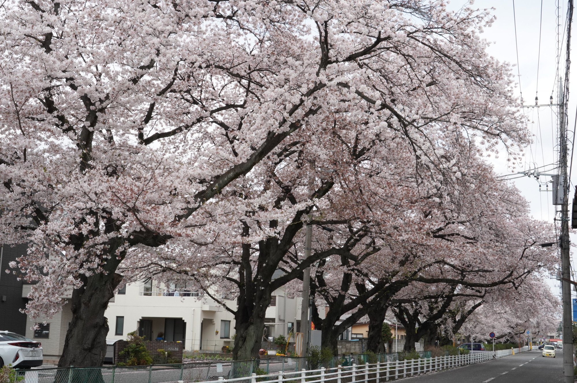 2021年4月2日（金）