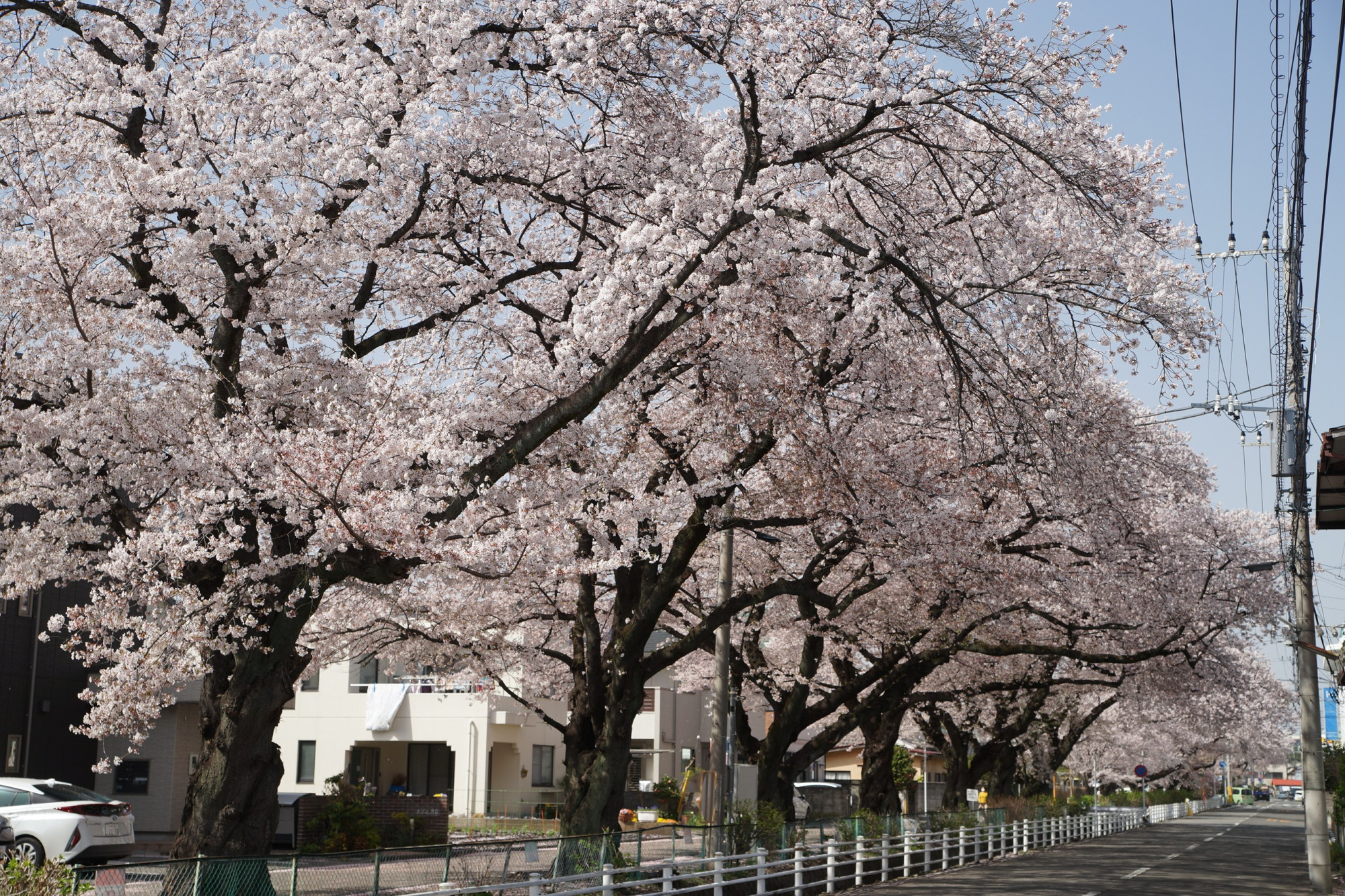 2021年3月31日（水）
