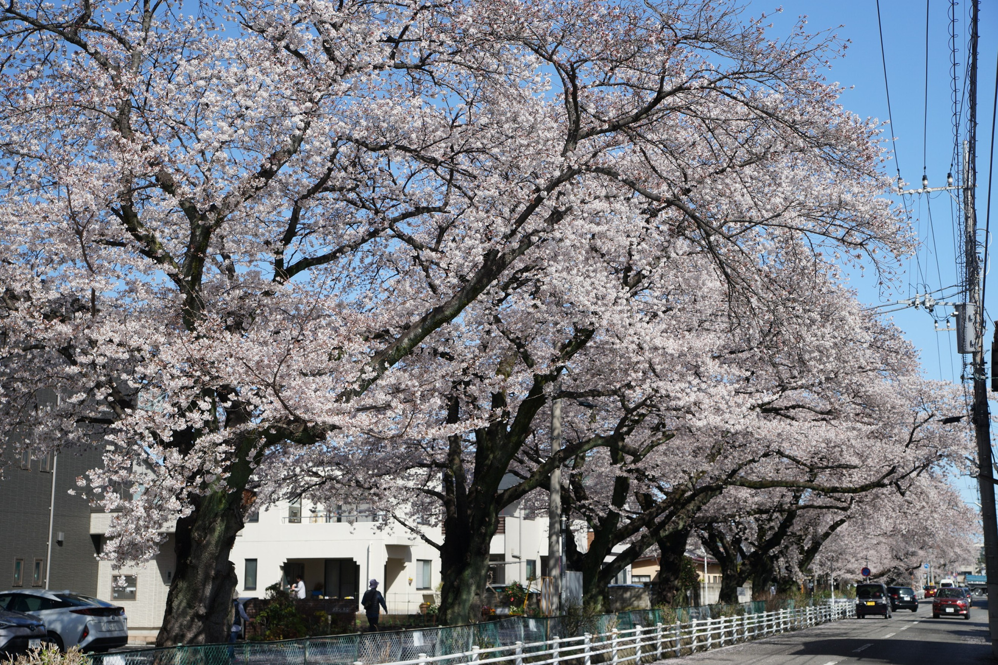 2021年3月29日（月）