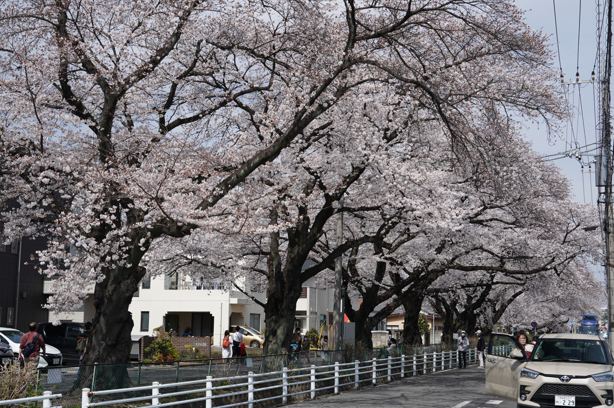 2021年3月27日（土）