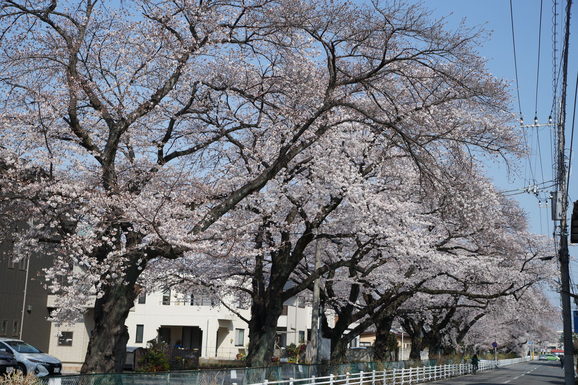 2021年3月26日（金）