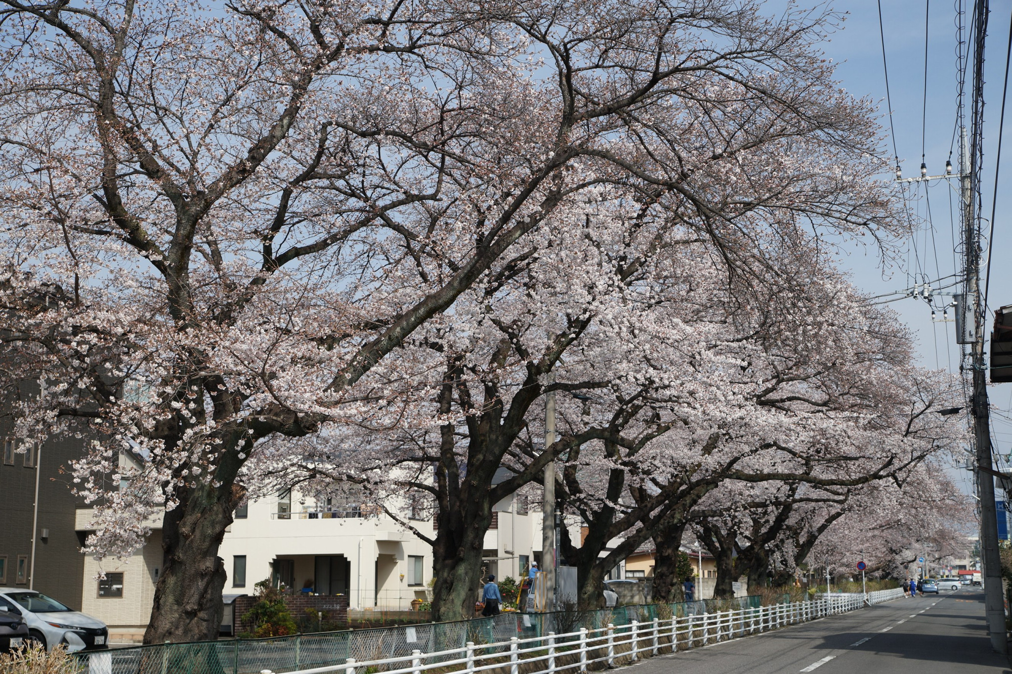 2021年3月25日（木）