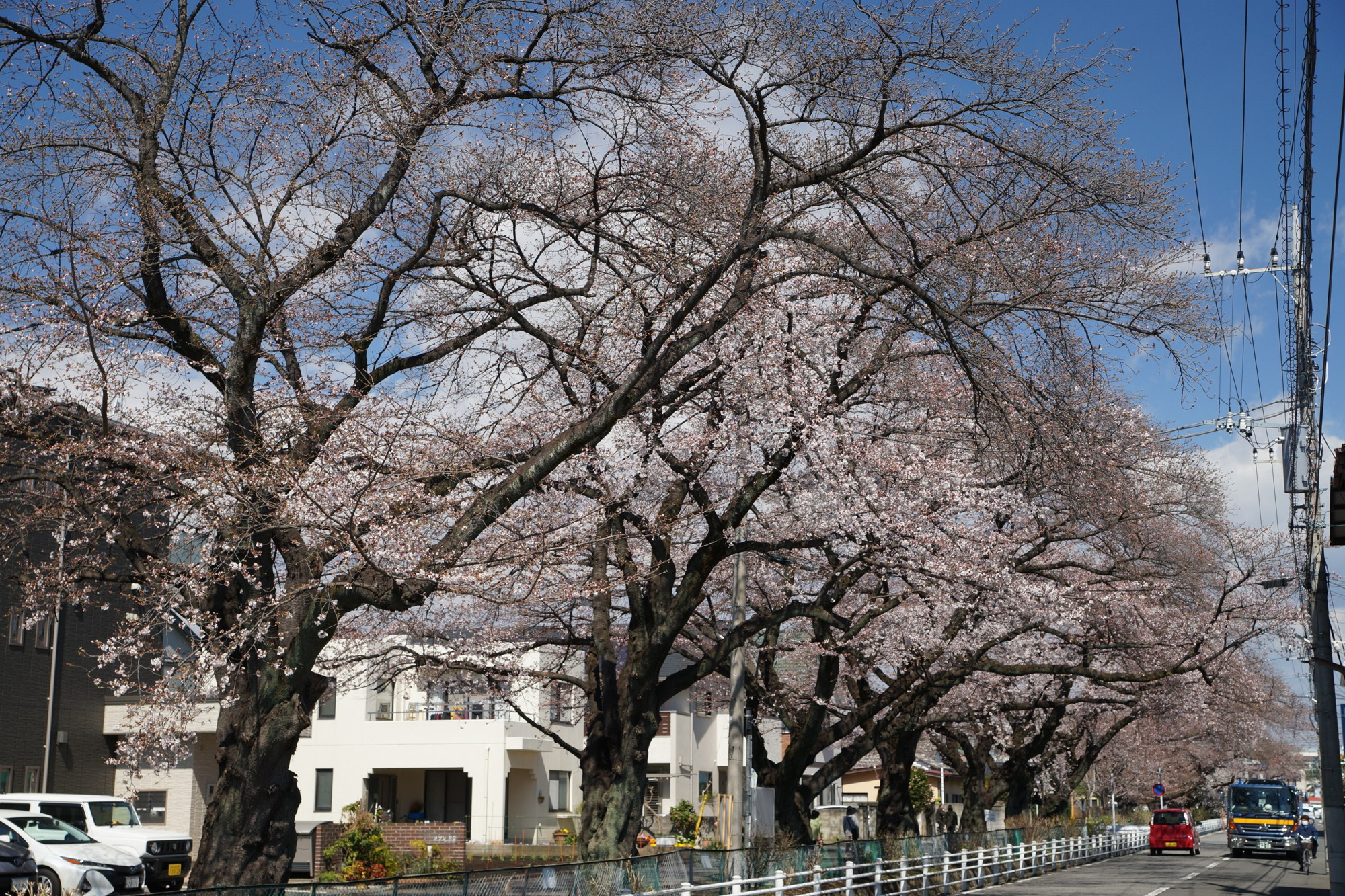 2021年3月23日（火）