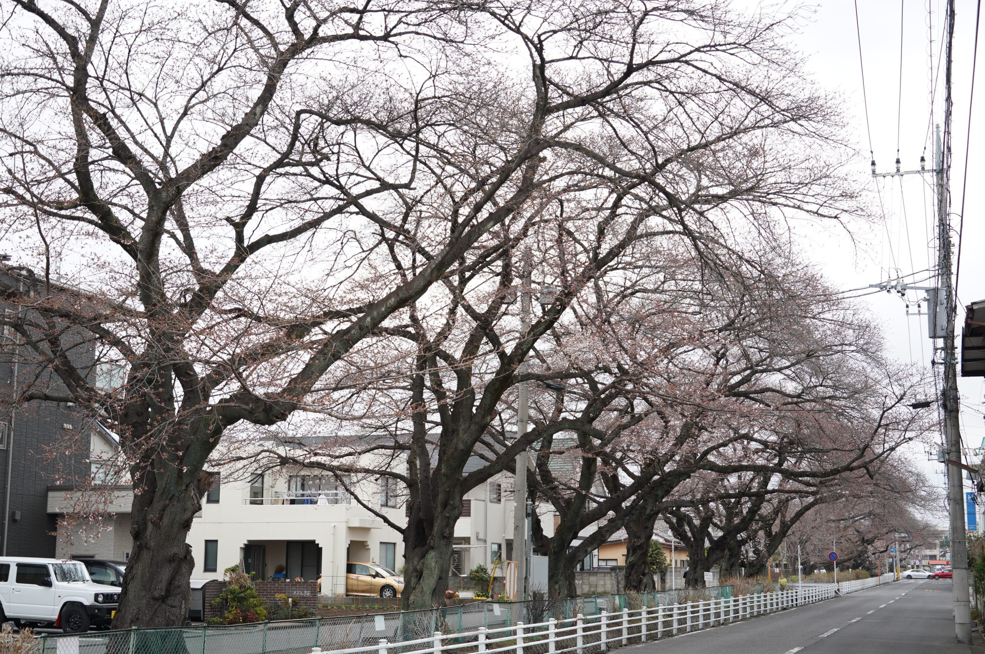 2021年3月20日（土）