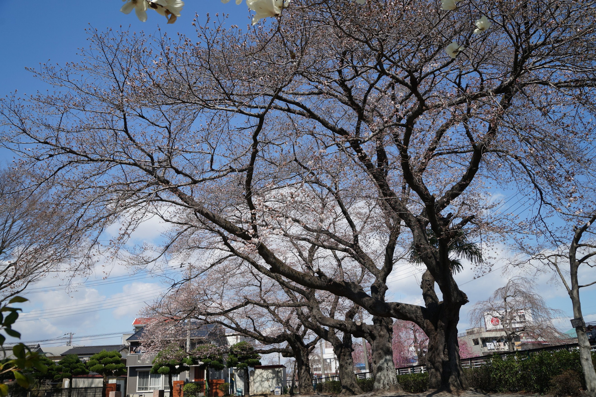 2021年3月23日（火）