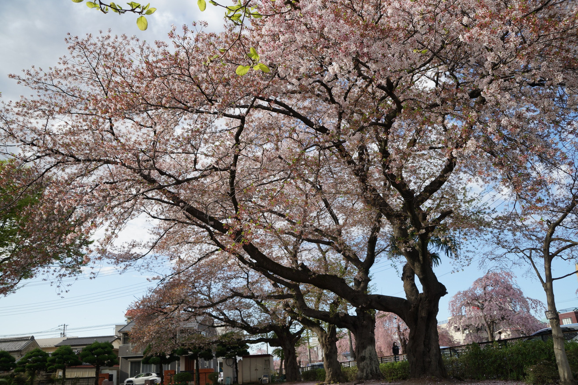 2021年4月5日（月）