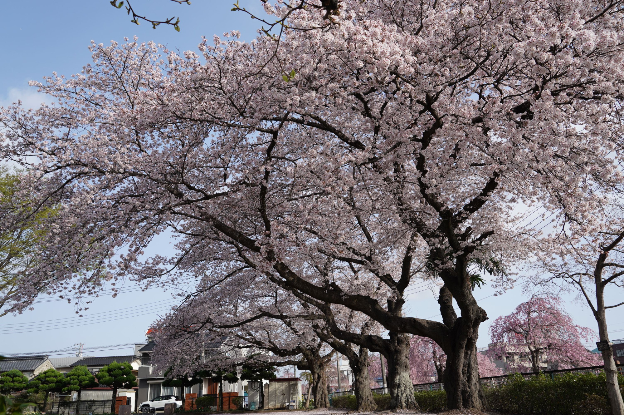 2021年3月31日（水）