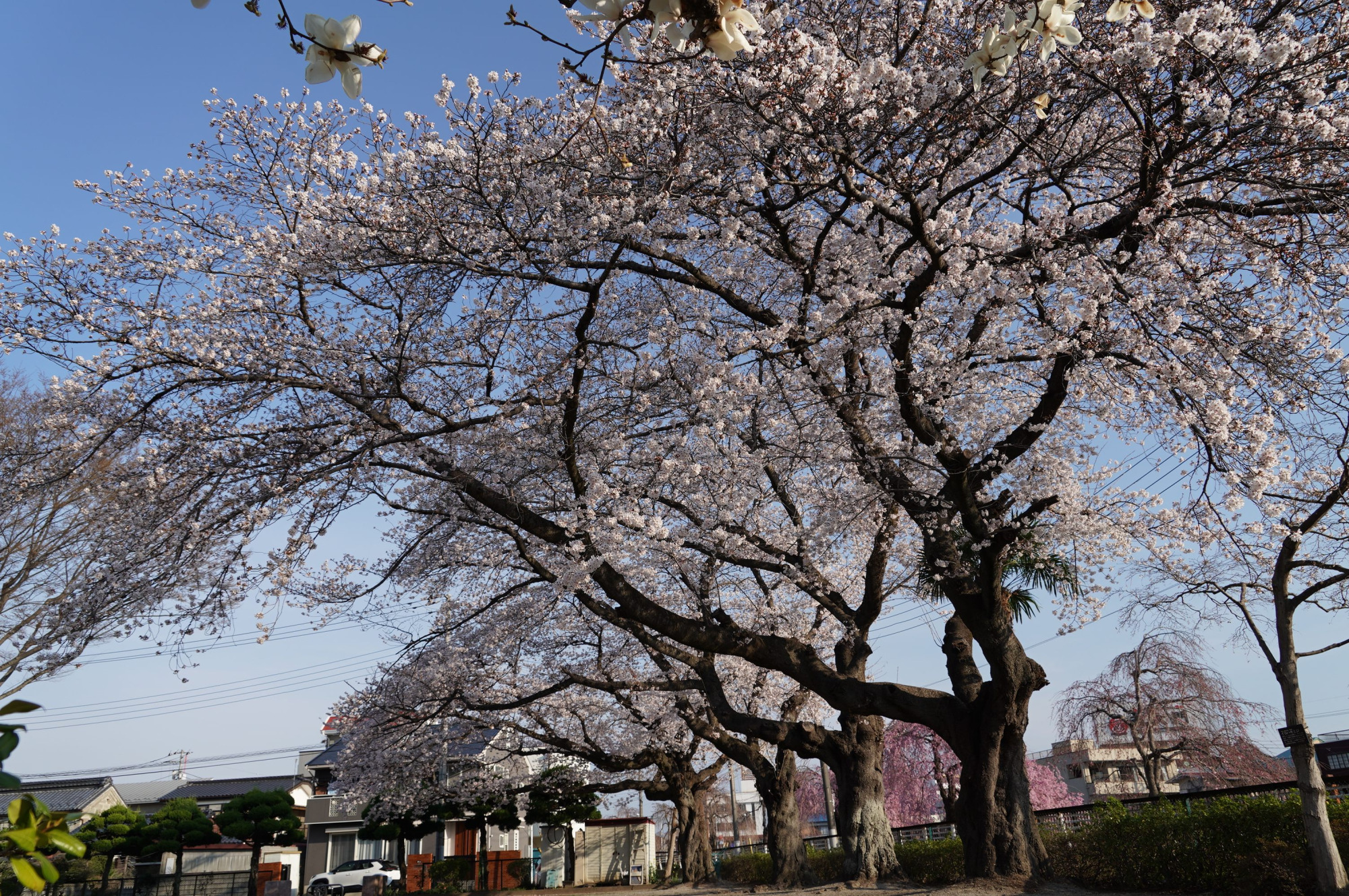 2021年3月27日（土）