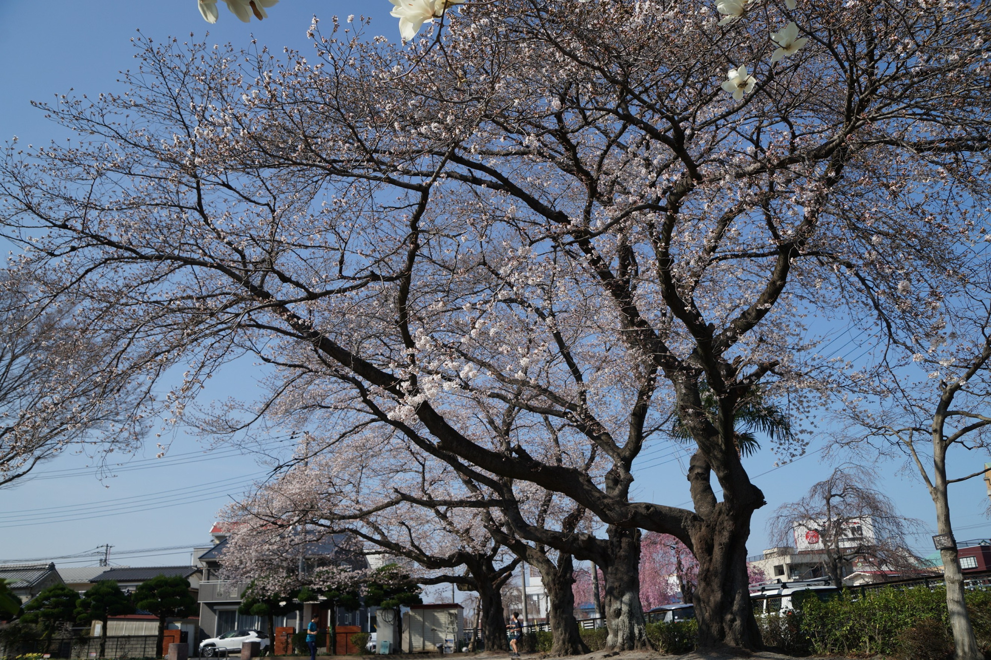 2021年3月24日（水）