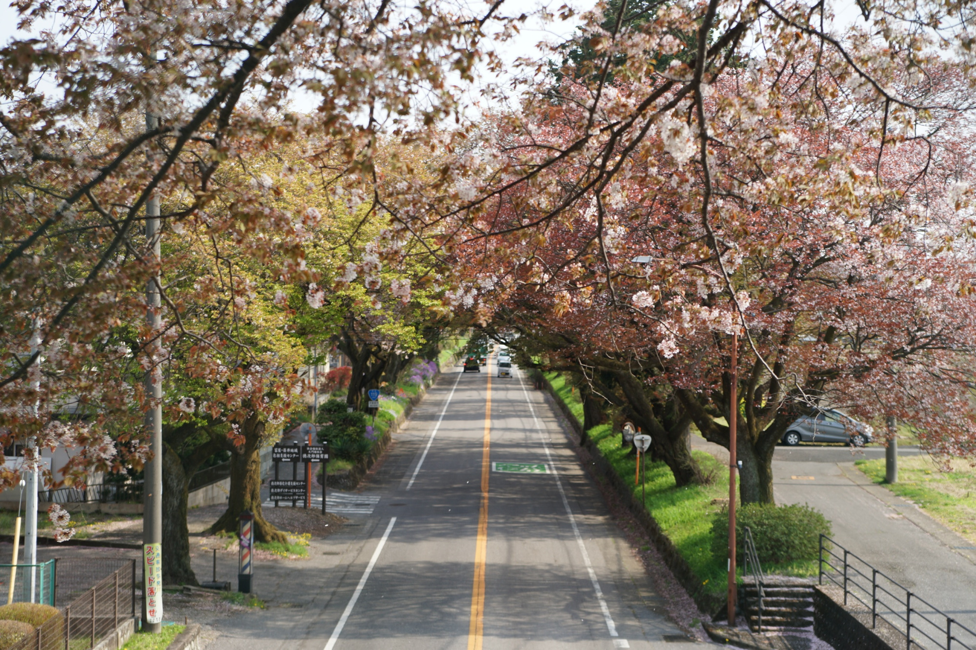 2021年4月8日（木）