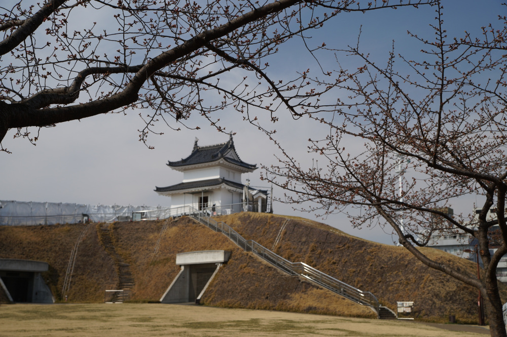 2022年3月11日(金)