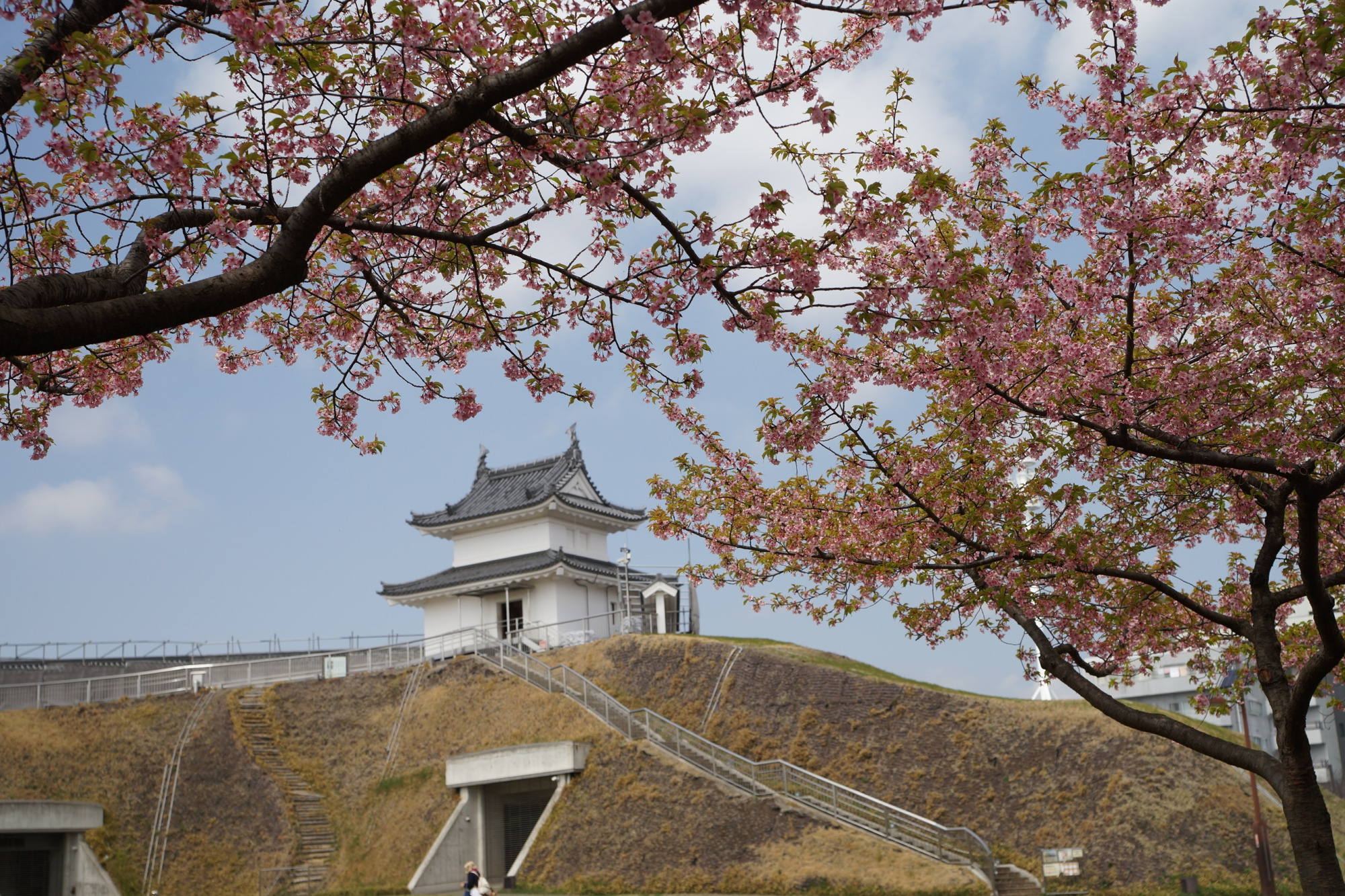 2022年3月30日（水）
