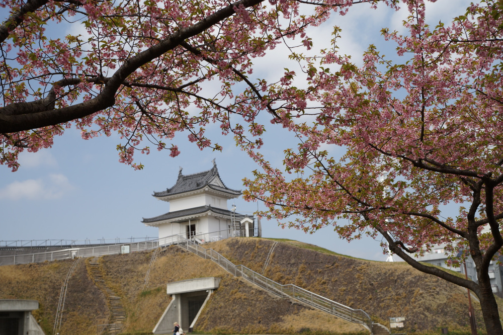 2022年3月30日(水)