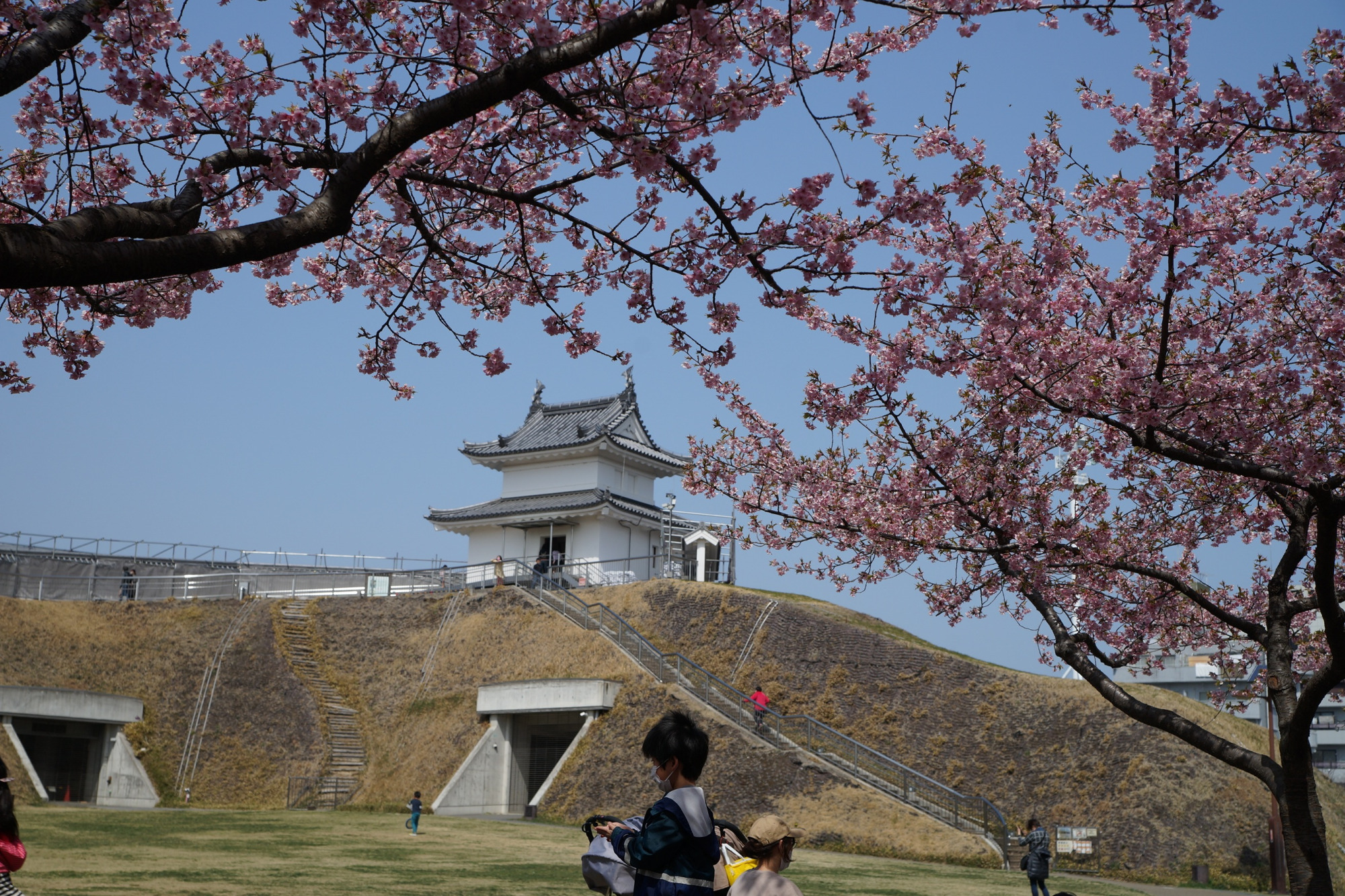 2022年3月25日（金）