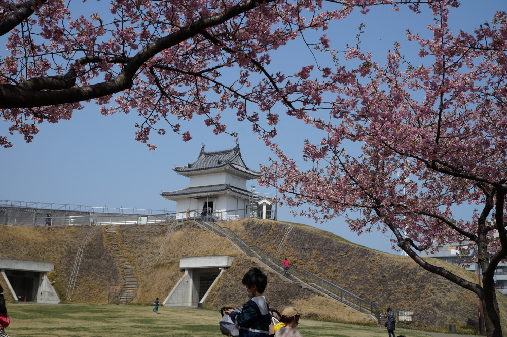 2022年3月25日(金)