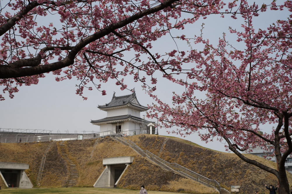 2022年3月23日(水)