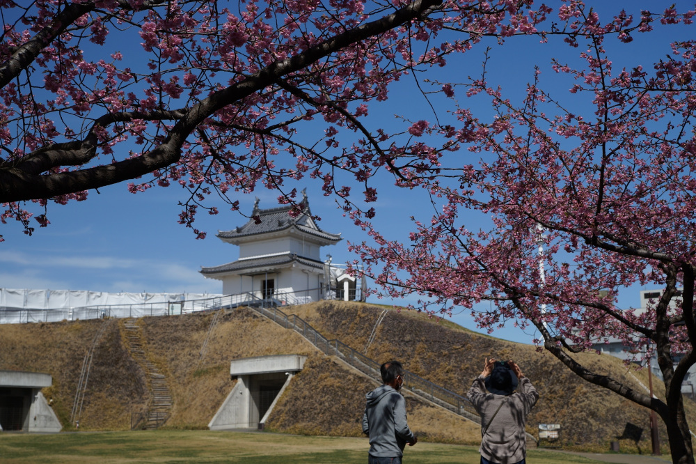 2022年3月19日(土)