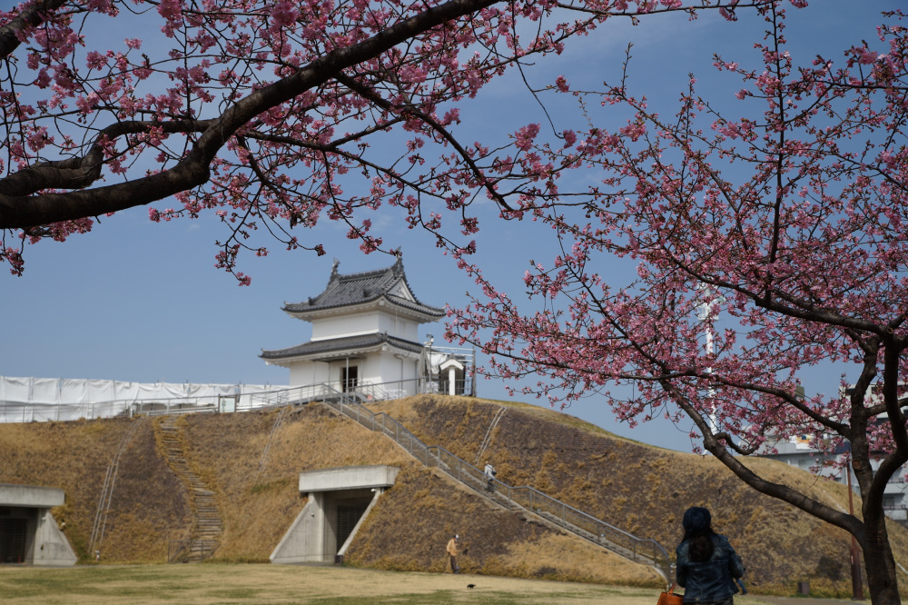 2022年3月17日(木)