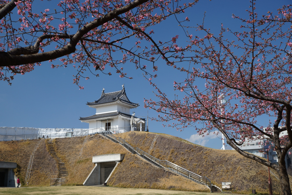 2022年3月15日(火)