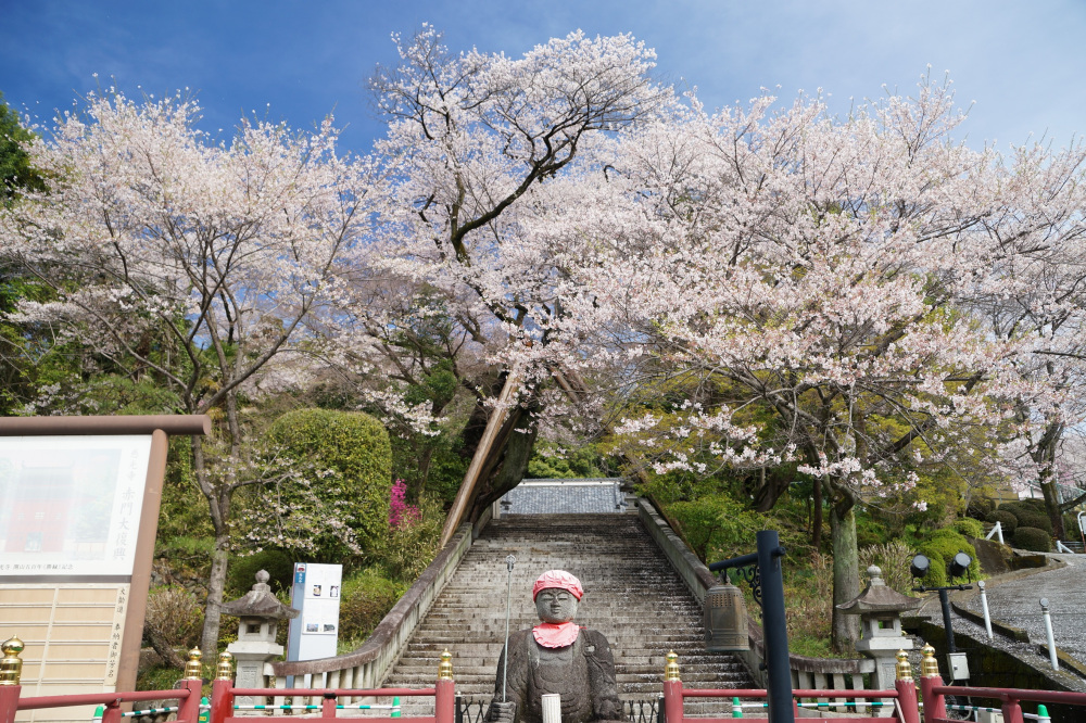 2022年4月5日(火)