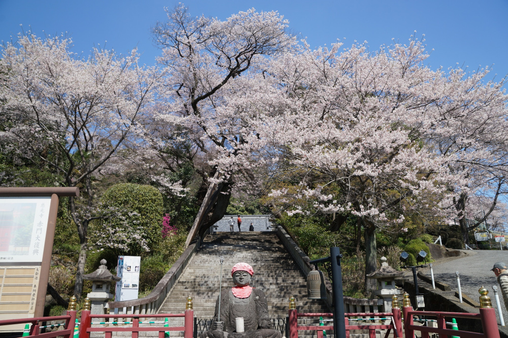 2022年4月2日(土)
