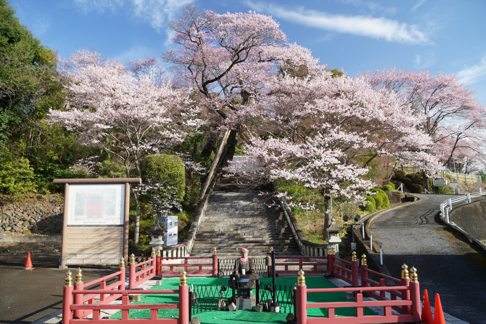 2022年3月28日(月)