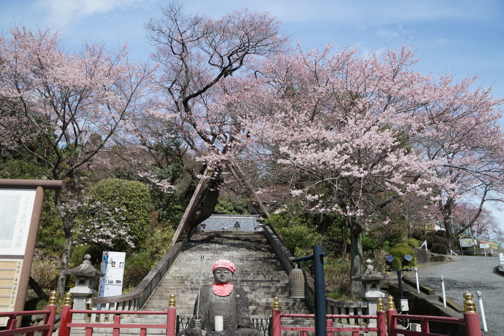 2022年3月27日(日)