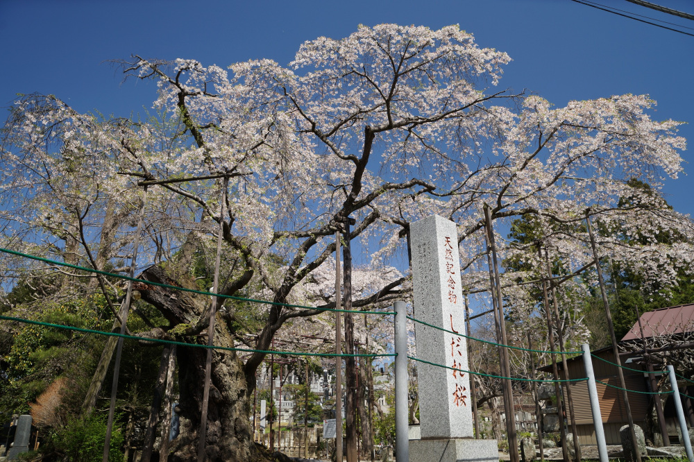 2022年4月8日(金)