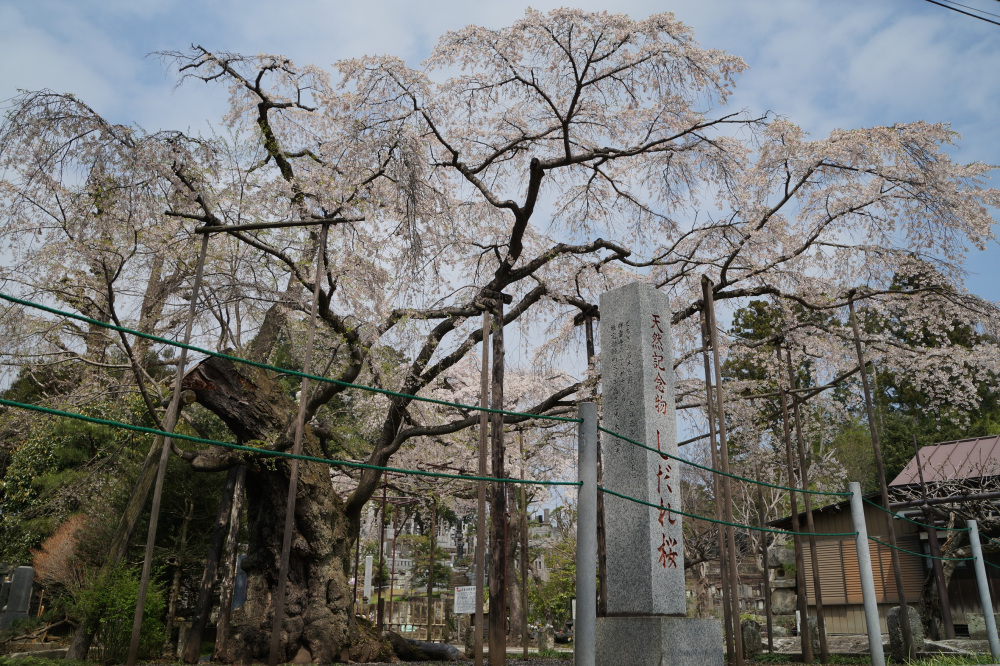 2022年4月7日(木)