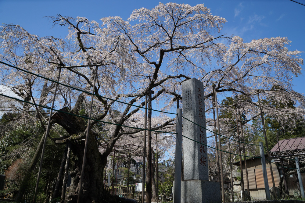 2022年4月5日(火)