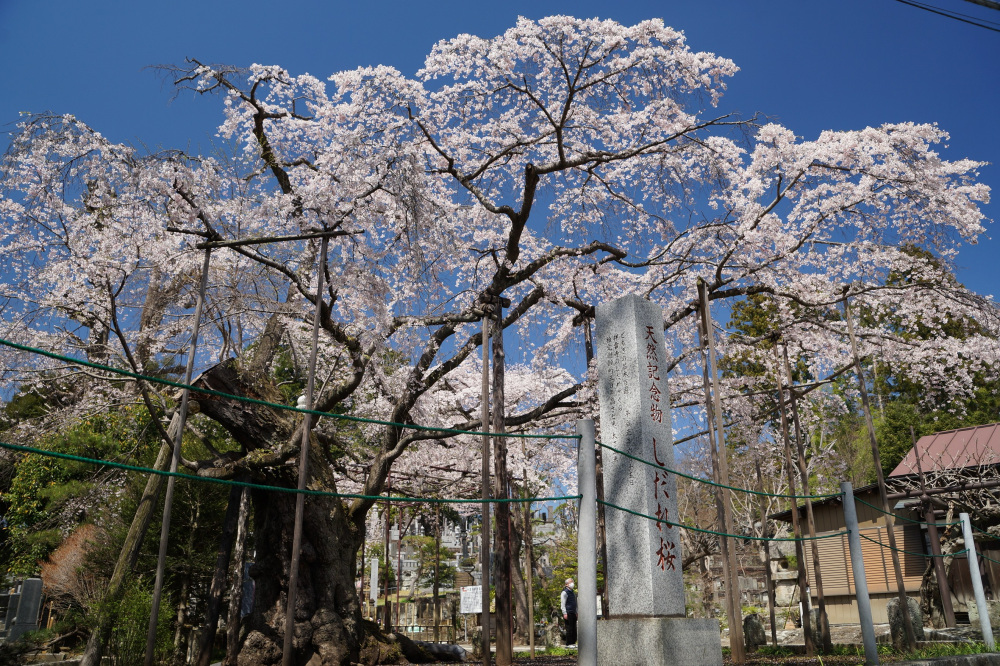 2022年4月2日(土)
