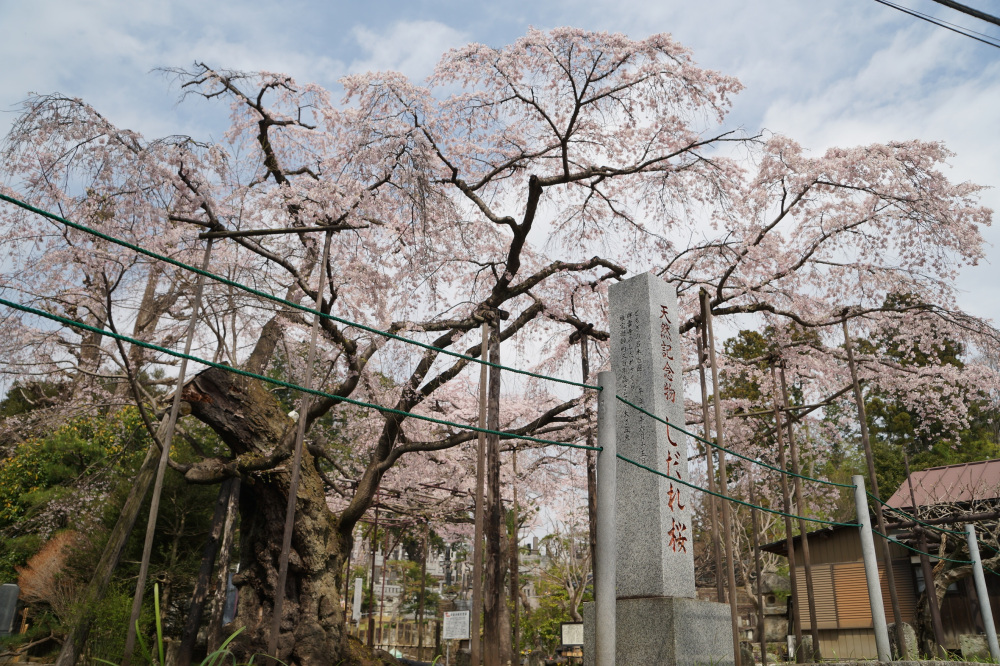 2022年3月31日(木)