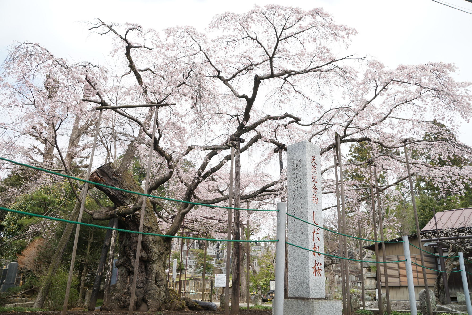 2022年3月30日（水）