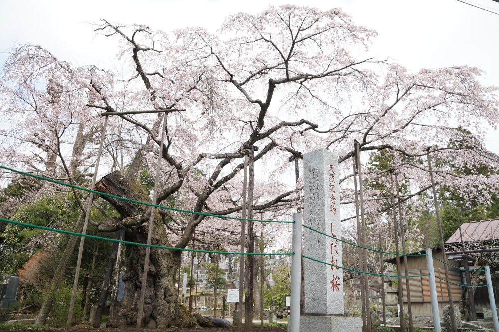 2022年3月30日(水)