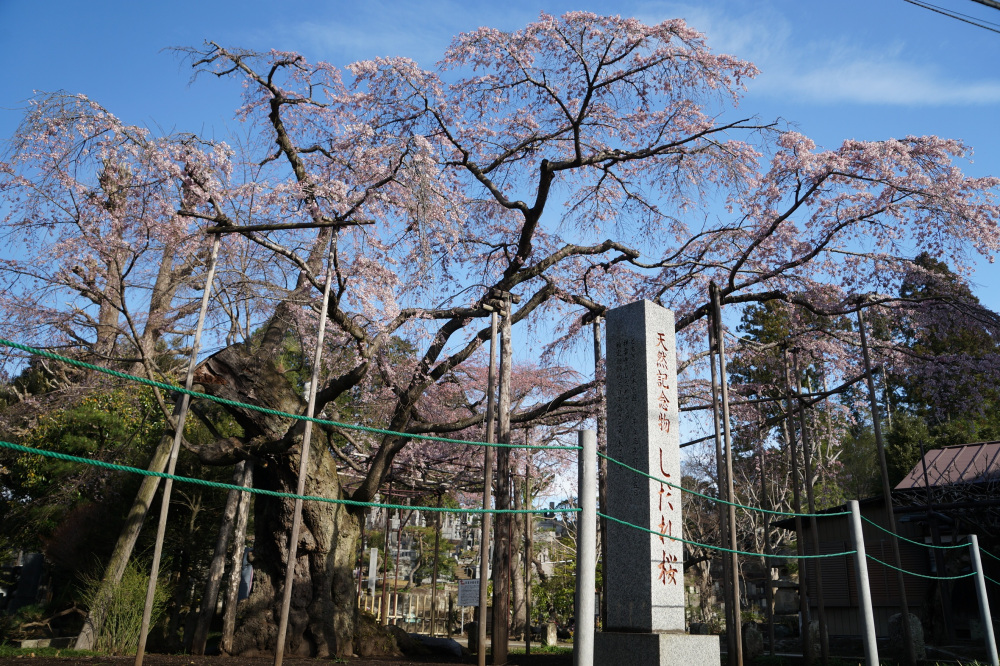 2022年3月28日(月)